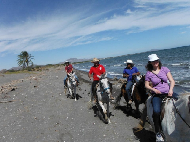 Rutas a caballo de  grupo